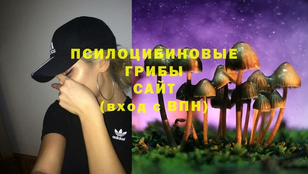 ALPHA-PVP Вяземский